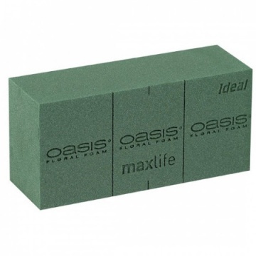 Оазис