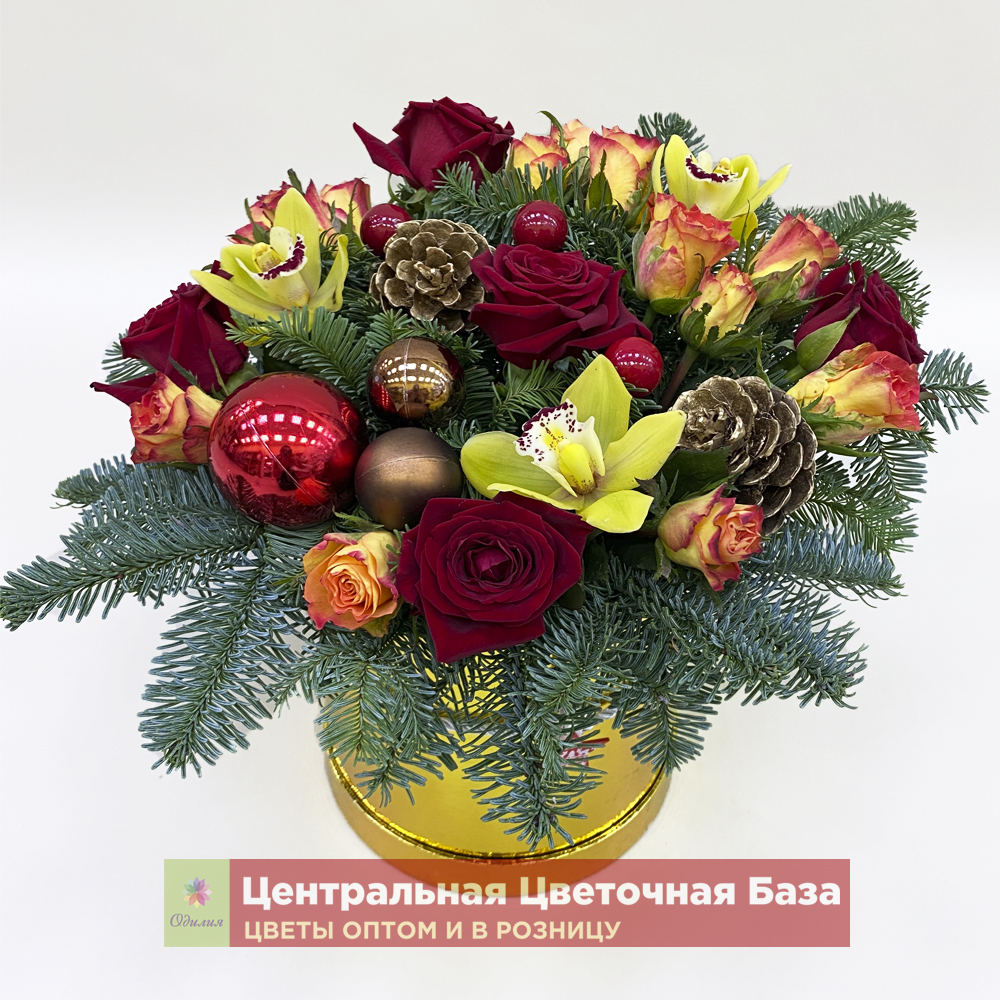 Купить Цветы в коробке Новогодние чудо за 1 руб. в в Мытищах и МО! Доставка круглосуточно