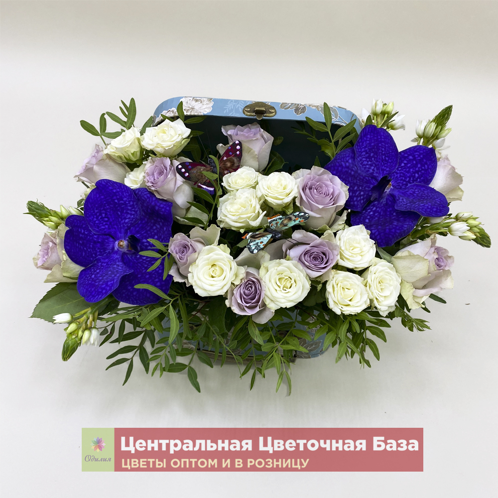 Купить Цветочная коробка Морская жемчужина за 1 руб. в в Мытищах и МО! Доставка круглосуточно