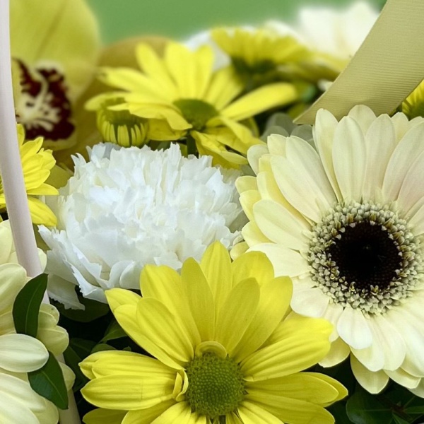 Цветы в сумке Морфей