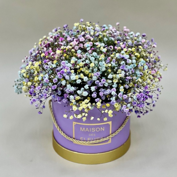 Коробка гипсофил